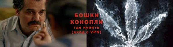дживик Анжеро-Судженск
