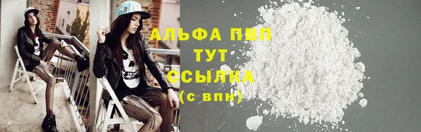 дживик Анжеро-Судженск